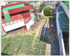  2025Ÿ51247   浿 1203-5       (1)