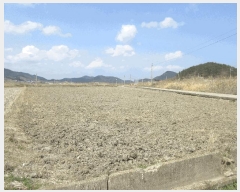  2025Ÿ51259  ﱺ ϸ 긮 1029      ()