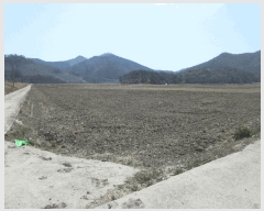  2025Ÿ51259  ﱺ ϸ 긮 1029      ()