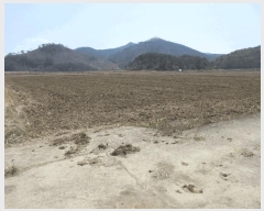  2025Ÿ51259  ﱺ ϸ 긮 1029      ()