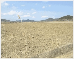  2025Ÿ51259  ﱺ ϸ 긮 1029      ()