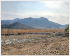  2025Ÿ51259  ﱺ ϸ 긮 1029      ()