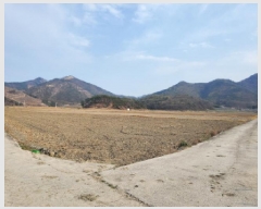  2025Ÿ51259  ﱺ ϸ 긮 1029      ()