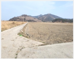  2025Ÿ51259  ﱺ ϸ 긮 1029      ()