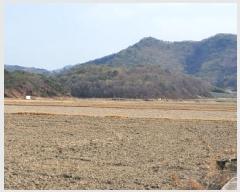  2025Ÿ51259  ﱺ ϸ 긮 1029      ()