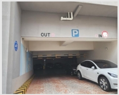  2025Ÿ��51440  ����Ʈ���