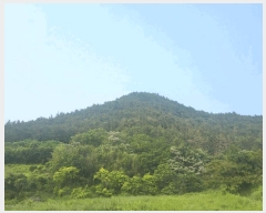  2025Ÿ��51500  �Ӿ߰��