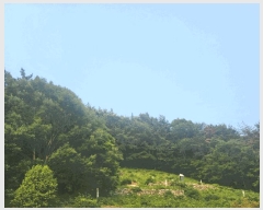  2025Ÿ��51500  �Ӿ߰��