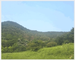  2025Ÿ��51500  �Ӿ߰��