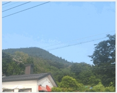  2025Ÿ��51500  �Ӿ߰��