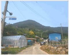  2025Ÿ��51500  �Ӿ߰��