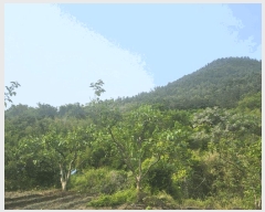  2025Ÿ��51500  �Ӿ߰��