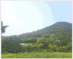  2025Ÿ��51500  �Ӿ߰��