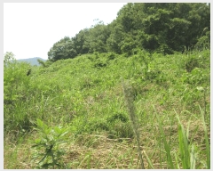  2025Ÿ51548   ȭ ̸ 228      (Ӿ)