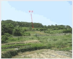  2025Ÿ51548   ȭ ̸ 228      (Ӿ)