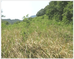  2025Ÿ51548   ȭ ̸ 228      (Ӿ)