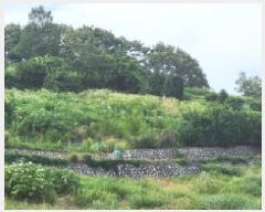  2025Ÿ51548   ȭ ̸ 228      (Ӿ)