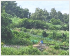  2025Ÿ51548   ȭ ̸ 228      (Ӿ)