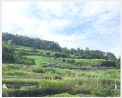  2025Ÿ51548   ȭ ̸ 228      (Ӿ)