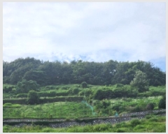  2025Ÿ51548   ȭ ̸ 228      (Ӿ)