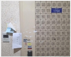  2025Ÿ��51554  ����Ʈ���