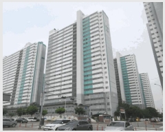  2025Ÿ��51566  ����Ʈ���