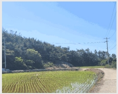  2025Ÿ��51572 ���� ���ﱺ �뼭�� �۰��� ��34      ����(�Ӿ�)���