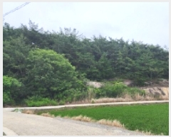  2025Ÿ��51572 ���� ���ﱺ �뼭�� �۰��� ��34      ����(�Ӿ�)���