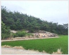  2025Ÿ��51572 ���� ���ﱺ �뼭�� �۰��� ��34      ����(�Ӿ�)���