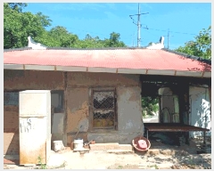  2025Ÿ��51590 ���� ����� �پи� ��õ�� 2490-1      ����(��)���