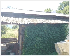  2025Ÿ��51590 ���� ����� �پи� ��õ�� 2490-1      ����(��)���