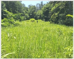  2025Ÿ��51632  �Ӿ߰��