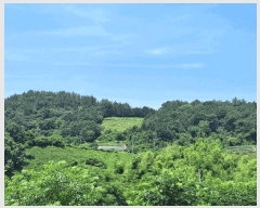  2025Ÿ��51632  �Ӿ߰��