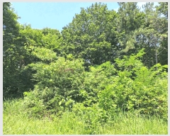  2025Ÿ��51632  �Ӿ߰��