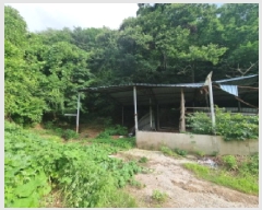  2025Ÿ��51668 ���� ����� ������ ���渮 657-1      ����(��1)���