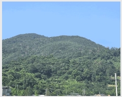  2025Ÿ��51668 ���� ����� ����� ���鸮 ��50      ����(�Ӿ�)���