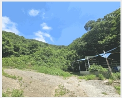  2025Ÿ��51668 ���� ����� ����� ���鸮 ��50      ����(�Ӿ�)���