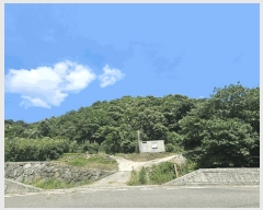  2025Ÿ��51668 ���� ����� ����� ���鸮 ��50      ����(�Ӿ�)���