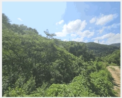  2025Ÿ��51668 ���� ����� ����� ���鸮 ��50      ����(�Ӿ�)���