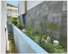  2025Ÿ��51680 ���� ������ ȭ�嵿 815-1       �ٰ������ð��