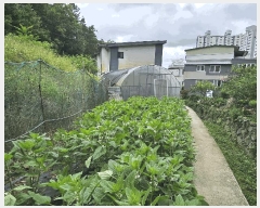  2025Ÿ��51725 ���� ��õ�� ���� 98       ���ð��