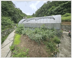  2025Ÿ��51725 ���� ��õ�� ���� 98       ���ð��