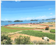  2025Ÿ��51779 ���� ������ ������ �ݺ��� 1278-1      ����(��1)���