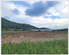  2025Ÿ��51779 ���� ������ ������ �ݺ��� 1278-1      ����(��1)���