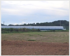  2025Ÿ��51779 ���� ������ ������ �ݺ��� 1278-1      ����(��1)���