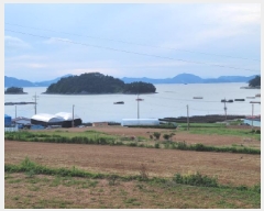  2025Ÿ��51779 ���� ������ ������ �ݺ��� 1278-1      ����(��1)���