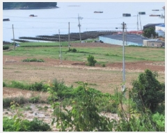  2025Ÿ��51779 ���� ������ ������ �ݺ��� 1278-1      ����(��1)���