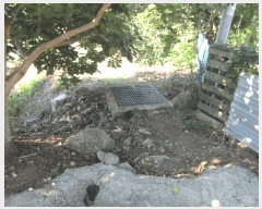  2025Ÿ��51818 ���� ������ ������ ĥ���� 1247-7      ����(��)���