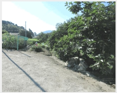  2025Ÿ��51818 ���� ������ ������ ĥ���� 1247-7      ����(��)���