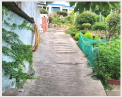  2025Ÿ��51890  ���ΰ��